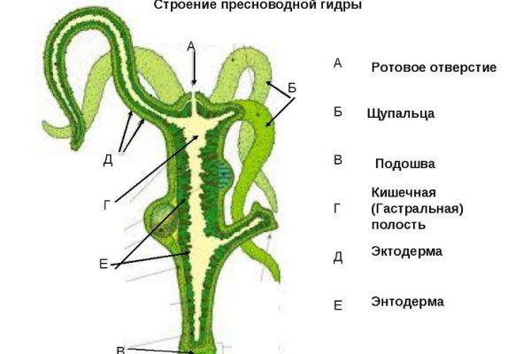 Кракен даркнет вход