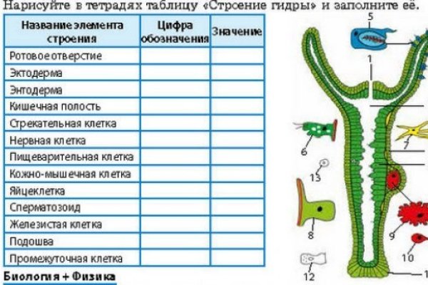 Рабочая ссылка на кракен