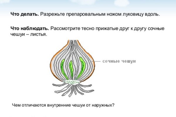 Кракен как попасть