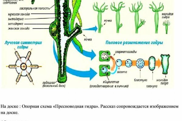 Кракен сайт зеркало рабочее на сегодня