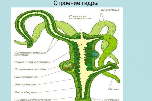 Кракен наркокортель